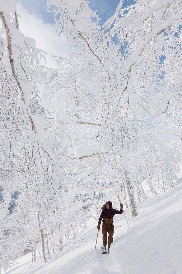 Skinning across heavy snow in Colorado.