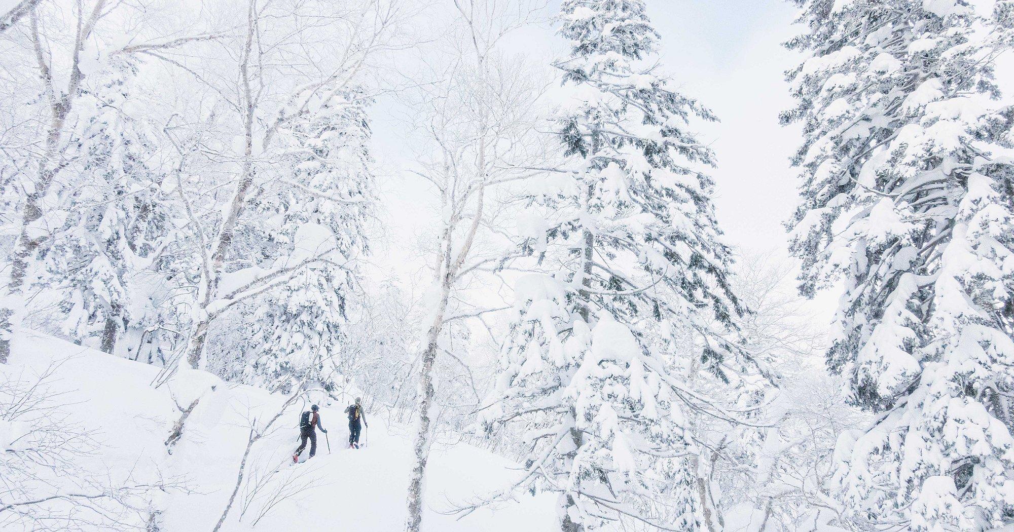 Skinning into the snowy mountains of Japan.