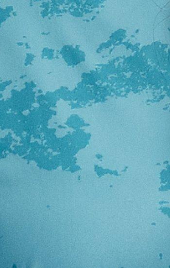 Women's Mountain Stretch™ Tanklette