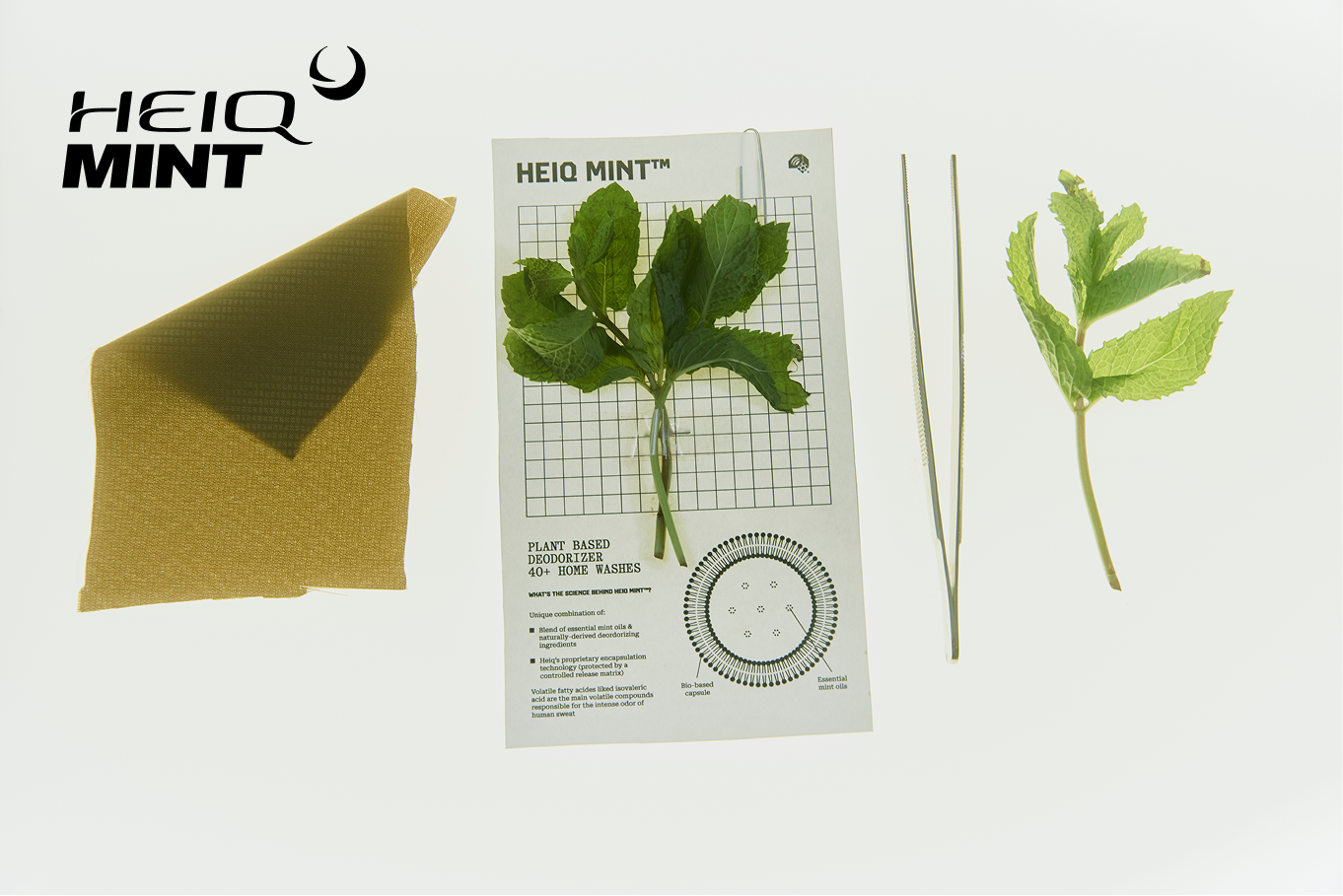 A swatch of fabric, a sprig of mint on top of an information card, tweezers, and a smaller sprig of mint are photographed on a laid on a light table. On image icon reads: HeiQ Mint™.