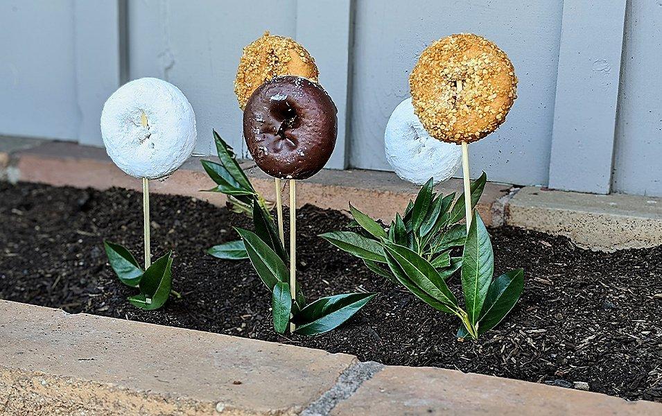 Donuts on sticks placed in a garden bed. 