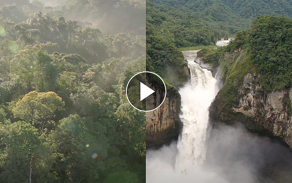La vidéo Protéger nos racines : Jour de la Terre 2023 de Columbia Sportswear. 
