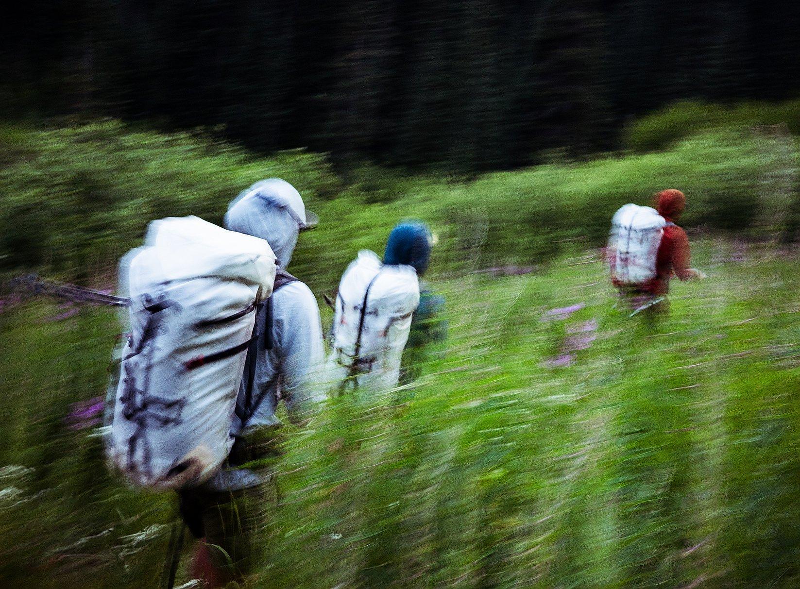 Backpacking through a bushy meadow.