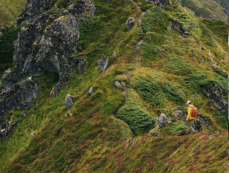 A hiker on the trail in a very green mountainside.