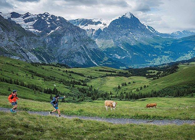 Trail running in Swiss Alps.
