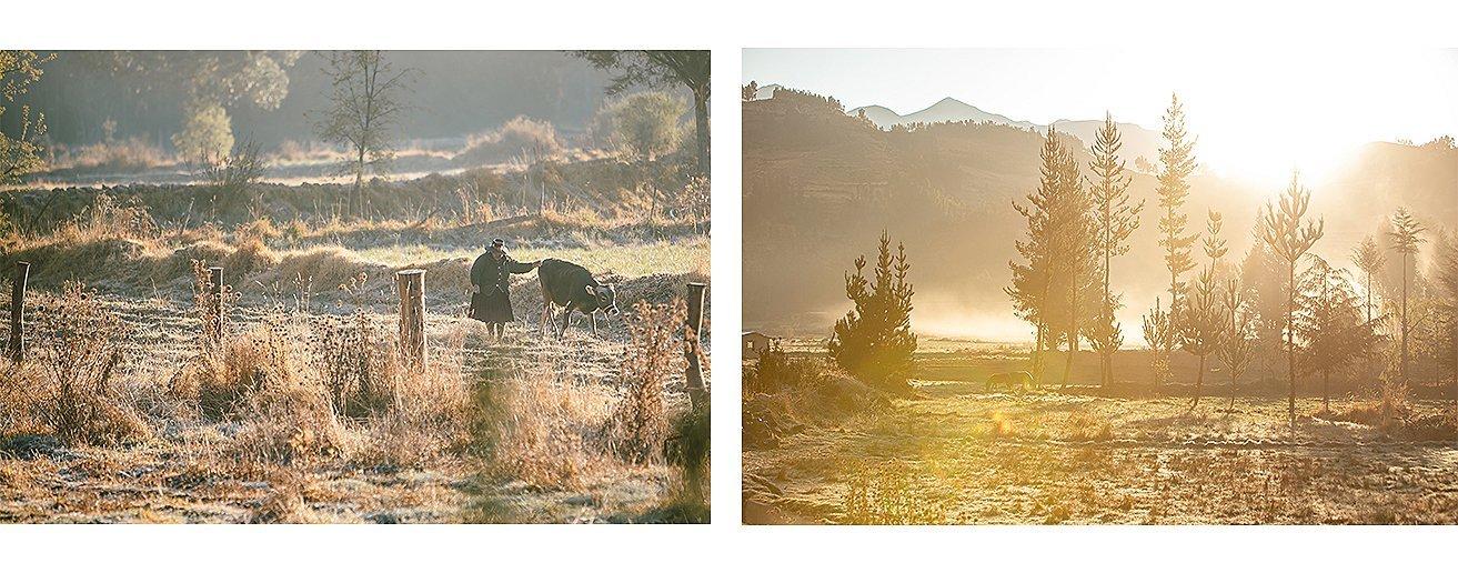 two images side by side of the Peruvian countryside, one with a local woman walking with a calf and the other of a meadow in golden light