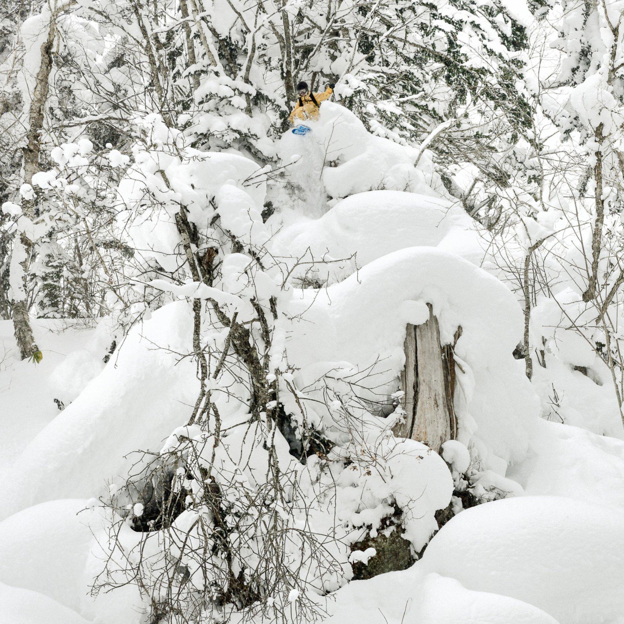 High above, professional skier Addison Rafford bursts out of the tree line, descending a into a nature-made mogul.