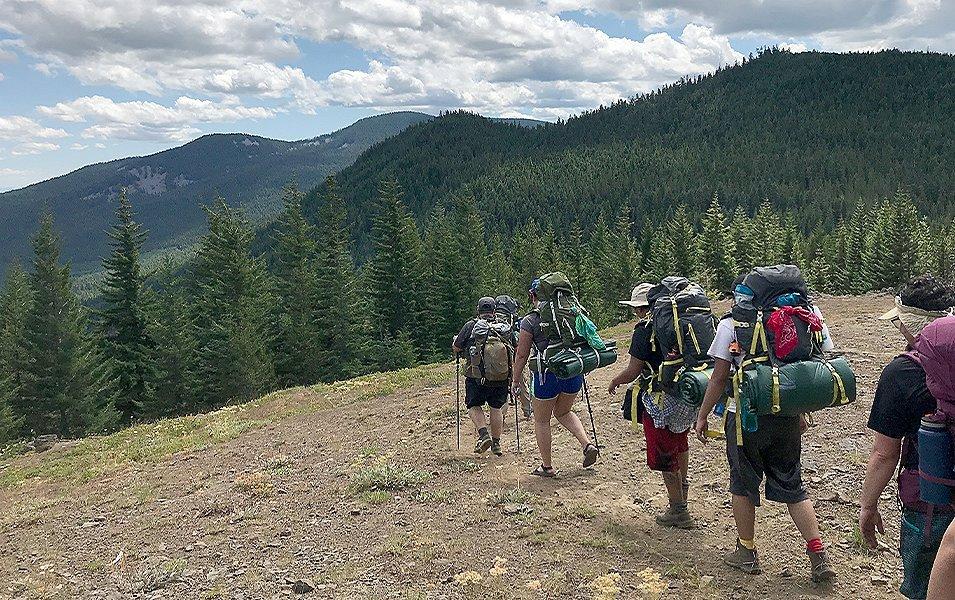 Group of hikers walking through a forest. 