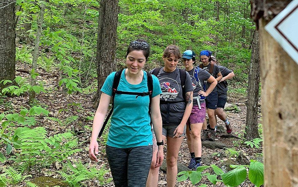 Group of people hiking along a forest trail. 