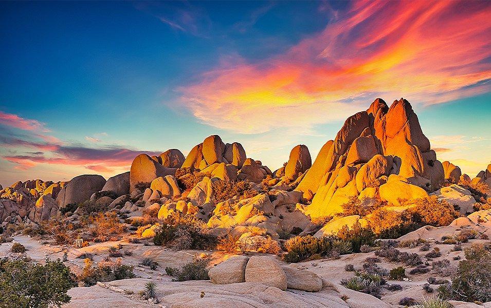 Giant boulders dot the desert landscape in Joshua Tree National Park as the sun sets in the background.  