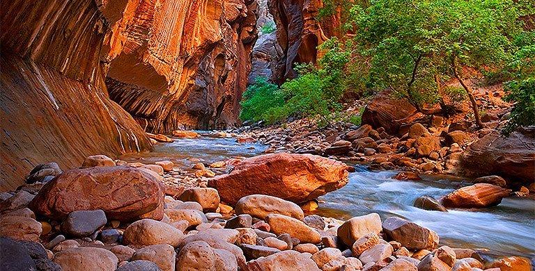 Dramatic sandstone cliffs sweep down to a bubbling brook. 