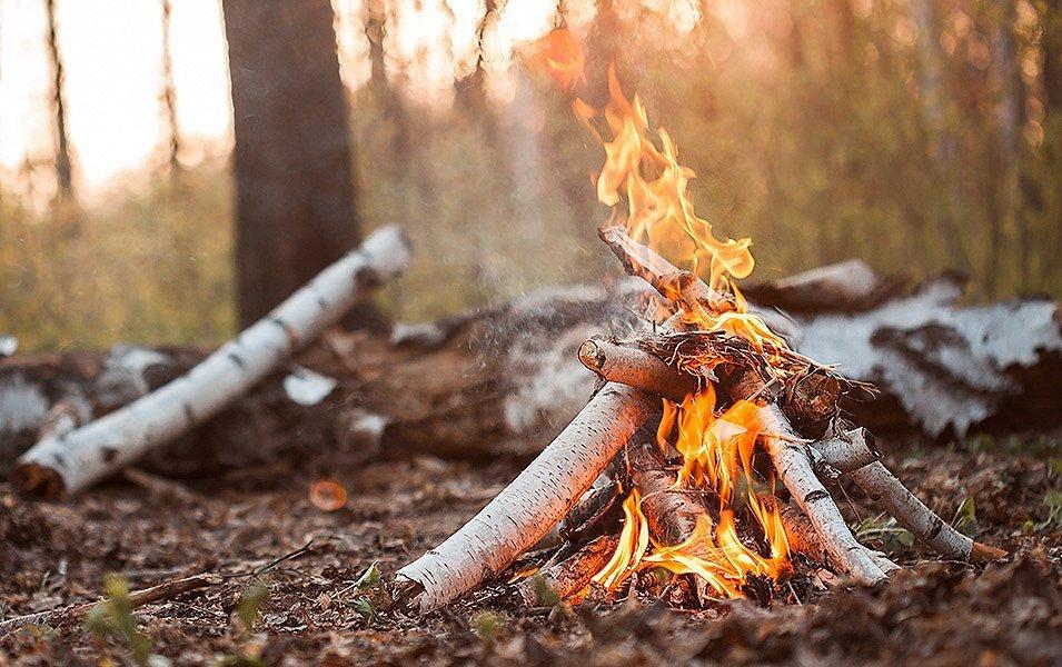 A tipi-style campfire made of white birch burns brightly in the late afternoon. 