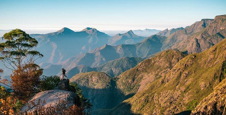 You don’t need a yoga studio or a mountaintop guru to shut down stress. Sometimes, the best way to find peace is to go outside.