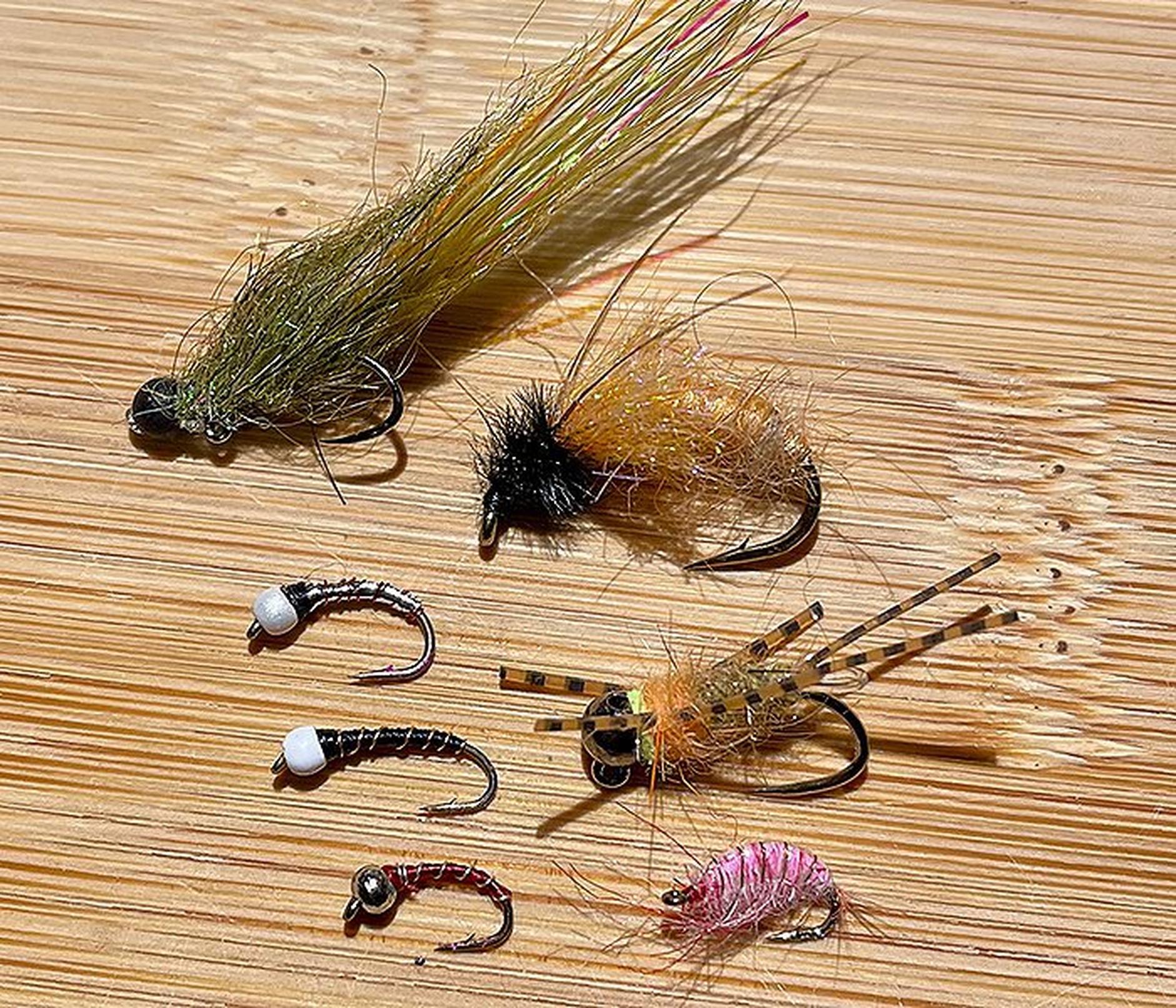 October Caddis Fly