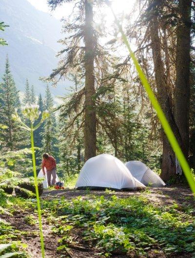 Camping in a pretty wildflower filled meadow in the mountains.
