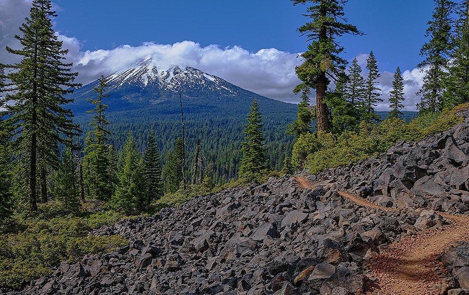 A snow-covered volcanic peak rises above a forest of pine and fir.