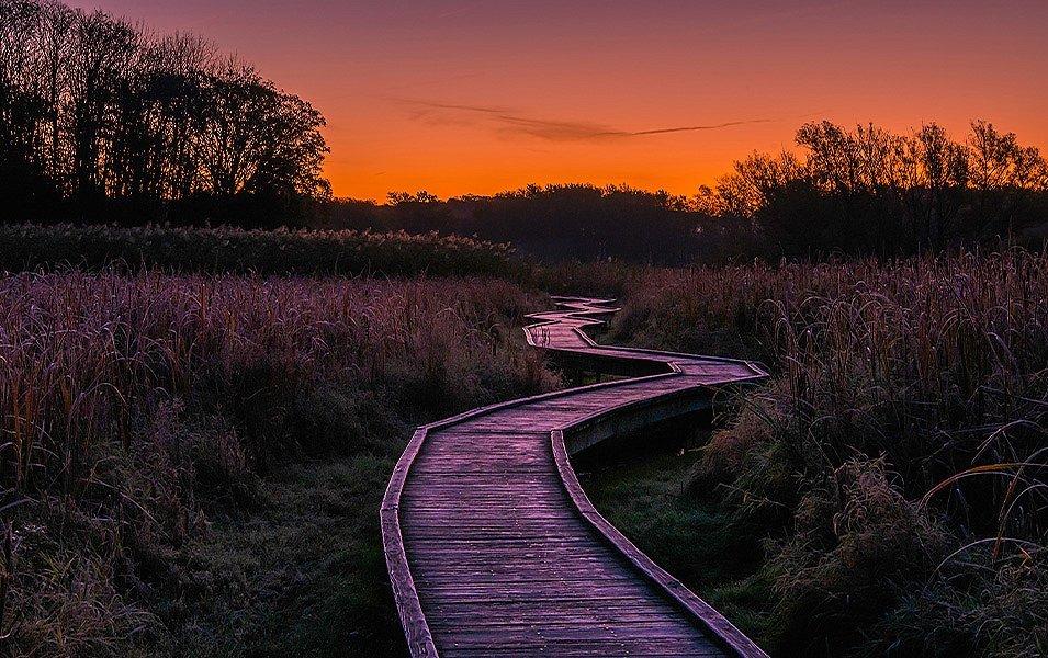 A wooden section of trail winds through a marshy area as the sun sets.