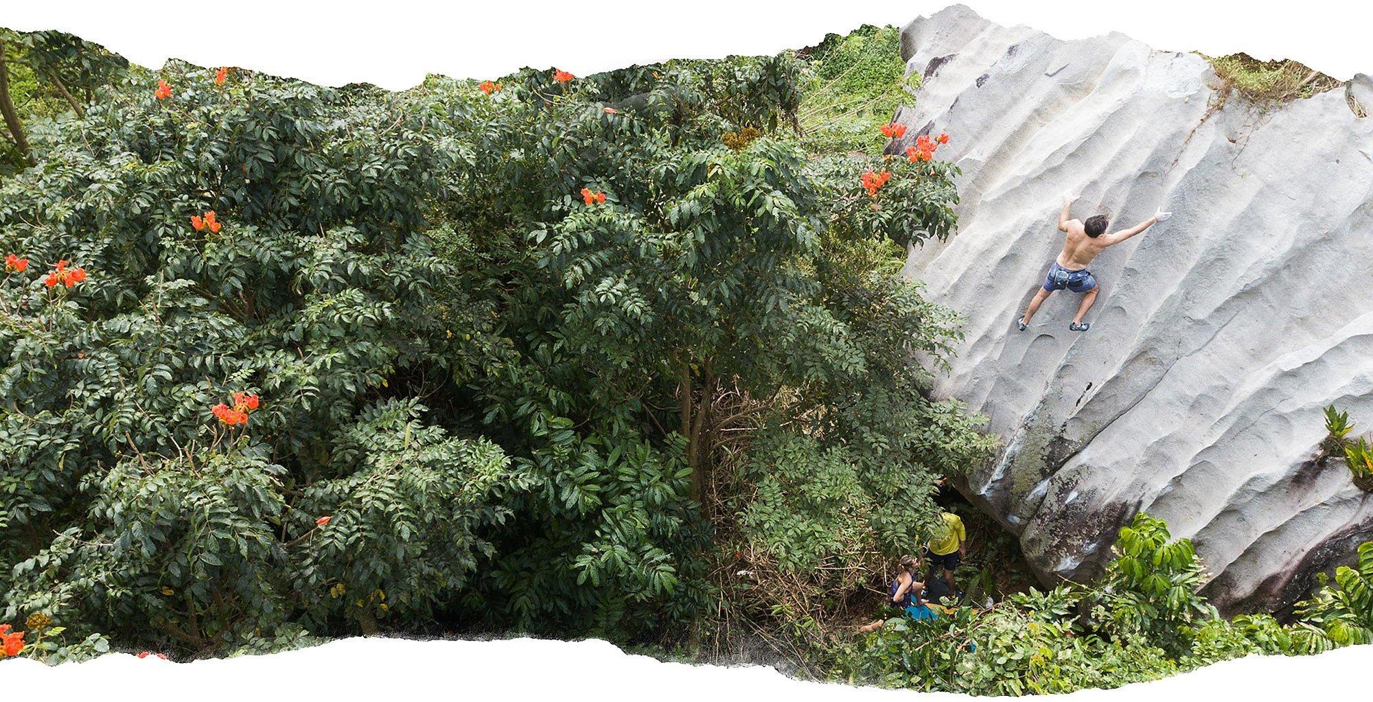 Aerial shot of Josh Larson bouldering beside beautiful flora and fauna in Puerto Rico