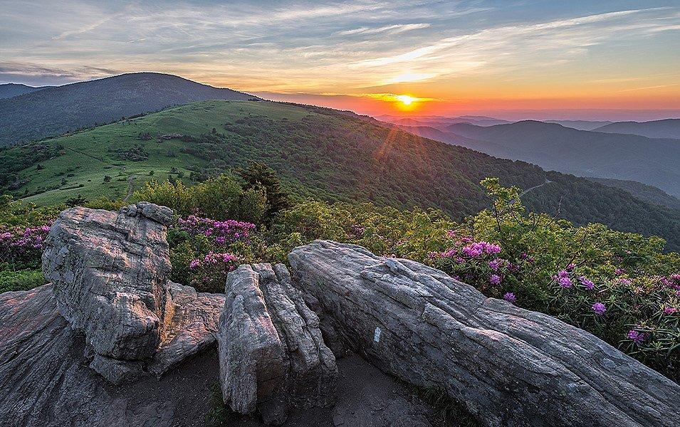 The sun sets over a tapestry of verdant hills. In the foreground, rock formations make for natural benches that are surrounded by magenta-colored rhododendrons.  