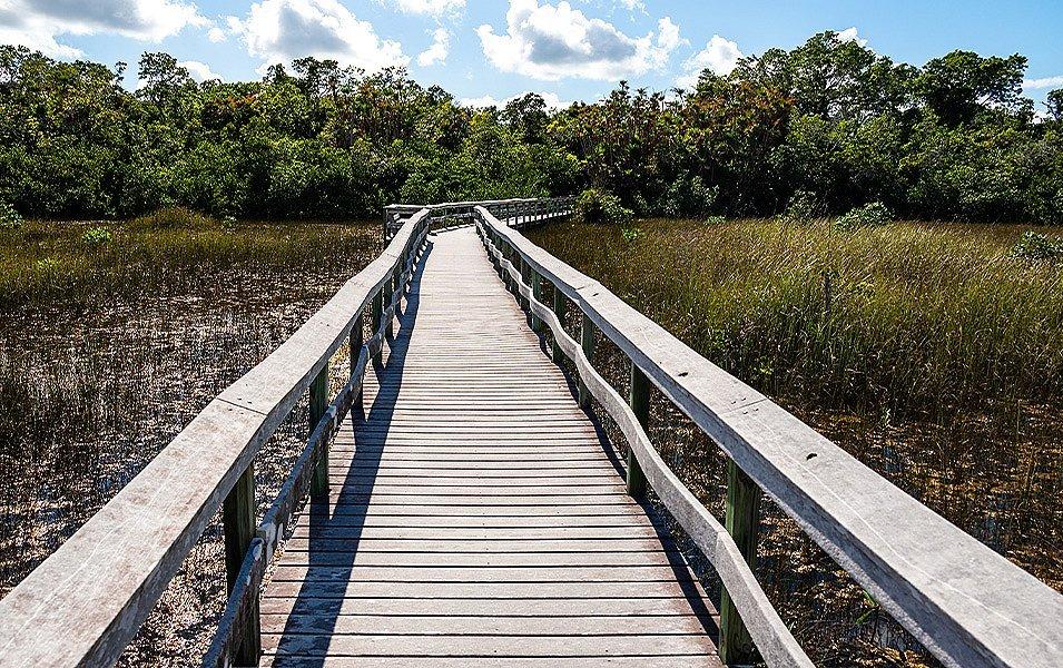 A wide, wooden footpath with side rails stretches across a muddy expanse of marsh.