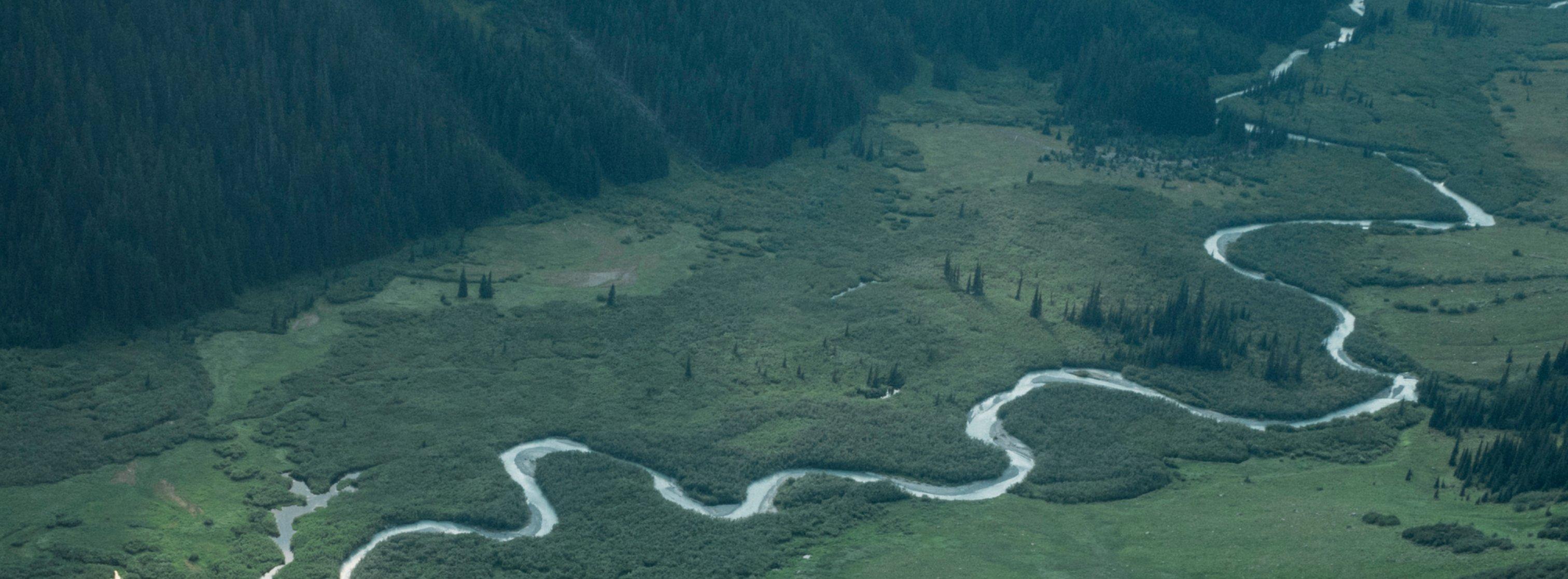 Green landscape with a windy river running through.