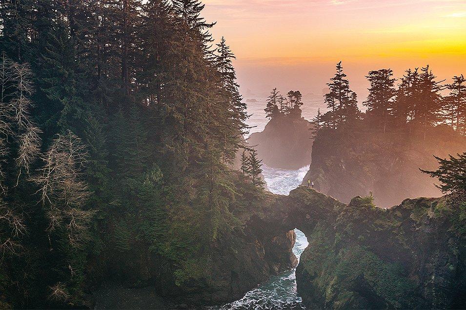 A forested coastline at sunset.