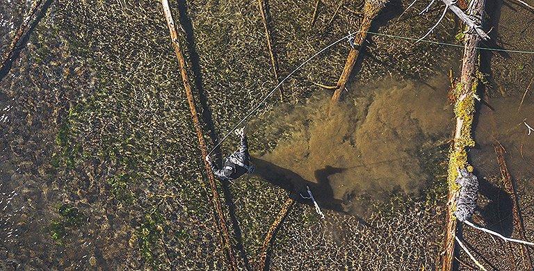 Pro Angler Curtis Ciszek offers his best advice, insights, tips and tricks in the art of fly fishing.