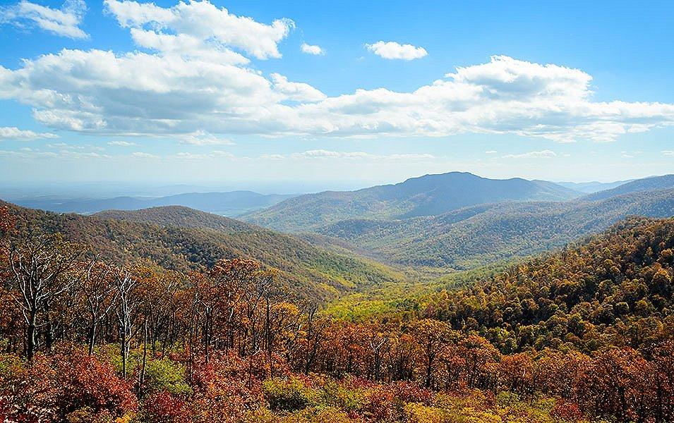 A valley of green trees mixed with beautiful fall foliage is pictured at Shenandoah National Park. 