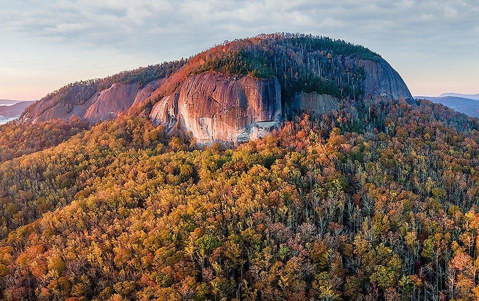 The stunning orange sunlight falls on trees by the coastline at Blue Ridge Parkway. 

 