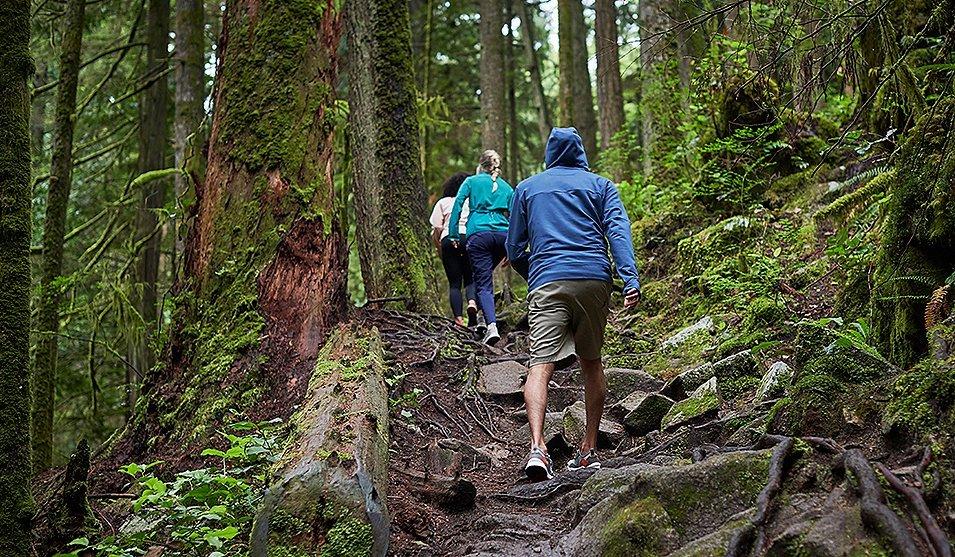 Three friends hiking in a forest.