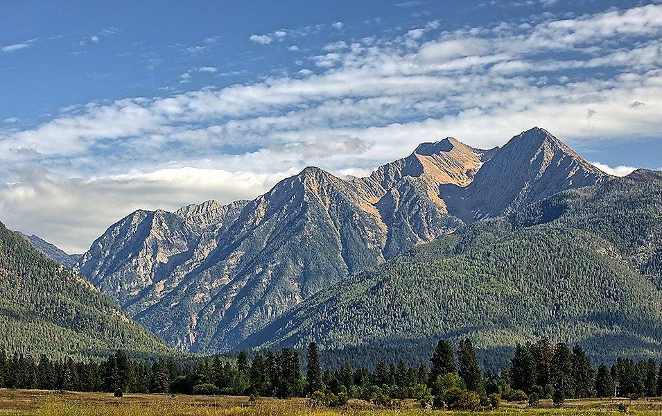 Beyond a grass-covered meadow, steep, tree-covered slopes flank high alpine peaks.