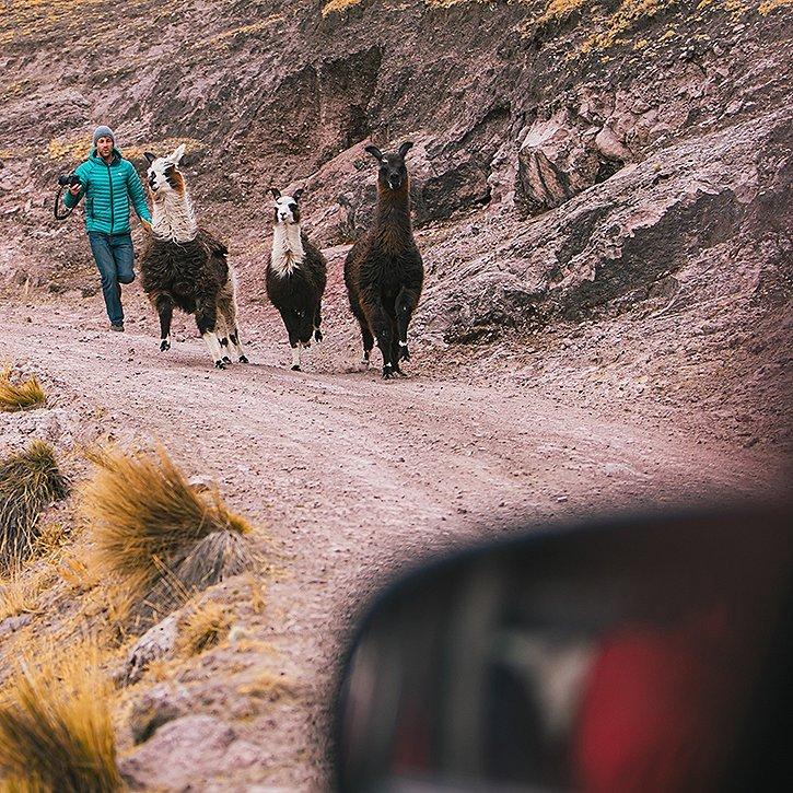 Chasing alpaca in the Andes wearing the Ghost Whisperer Down Hooded Jacket