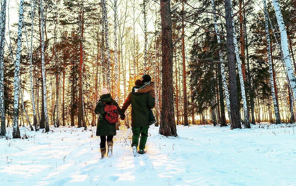 A Norwegian family walks in the forest in the snow seeking friluftsliv. 