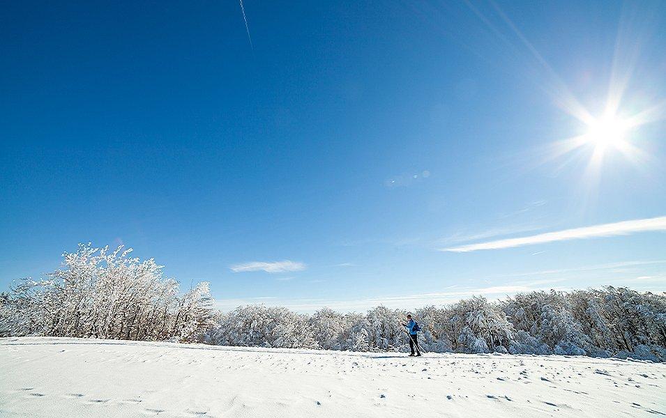 A cross country skier can be seen in the distance next to a snow-covered field on a sunny day. 