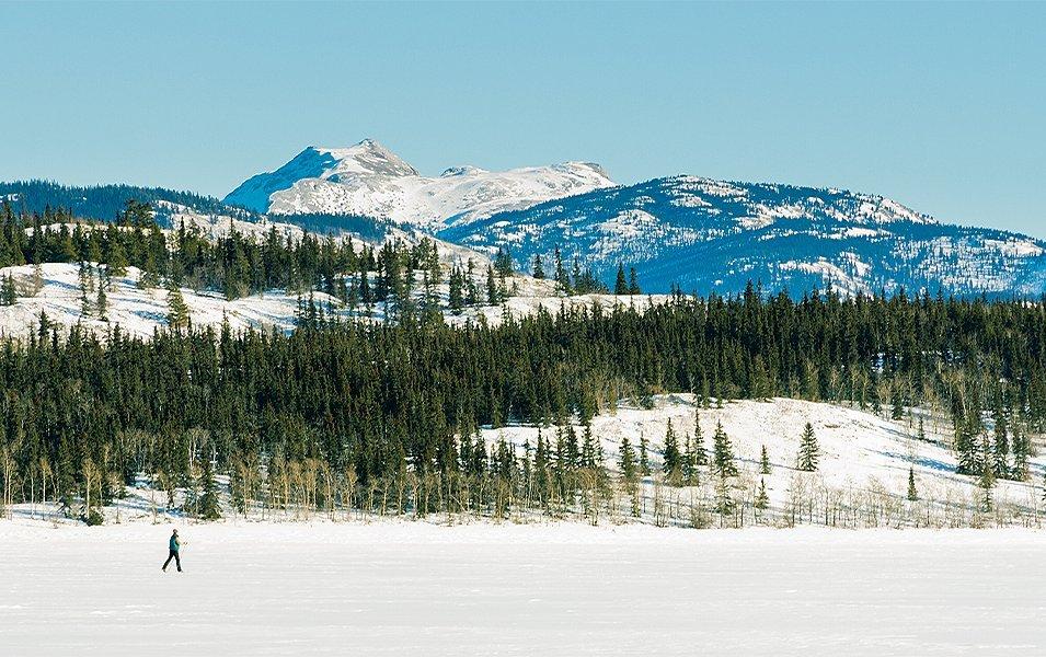 A cross country skier is pictured in front of a beautiful mountain and patch of trees.  