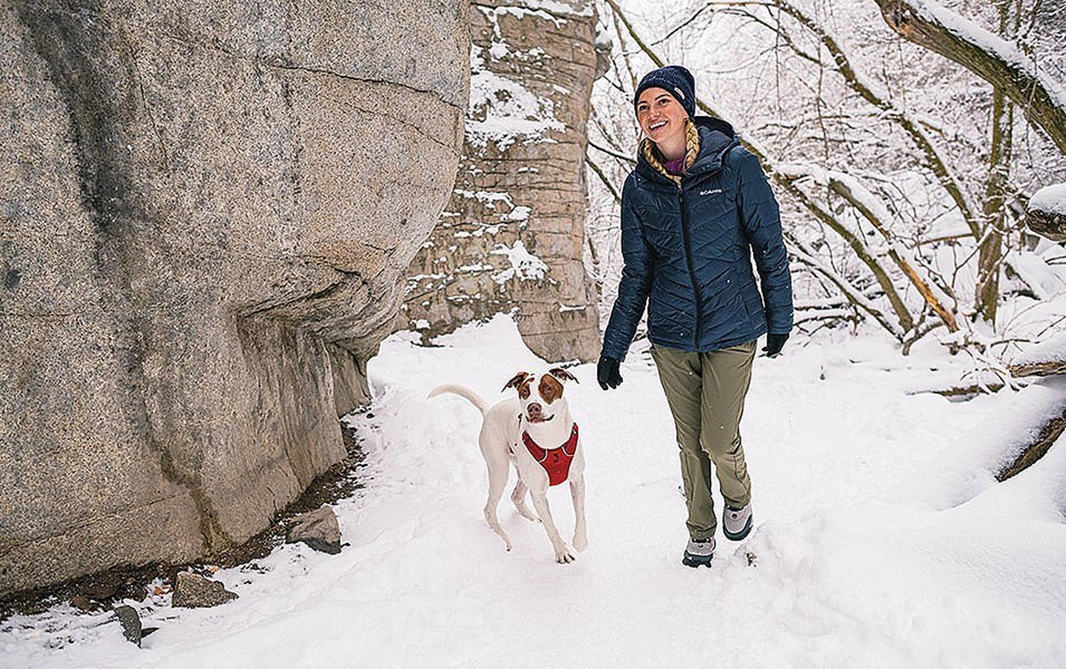 Woman and dog walking on a snowy path.