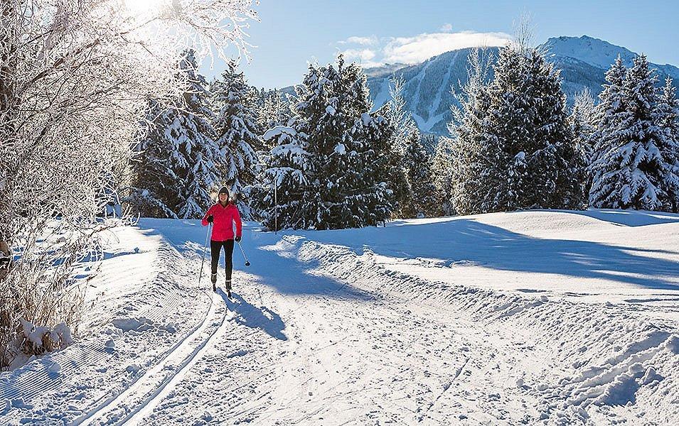 A cross country skier wearing a red jacket skis toward the camera on a beautiful snowy trail.

 