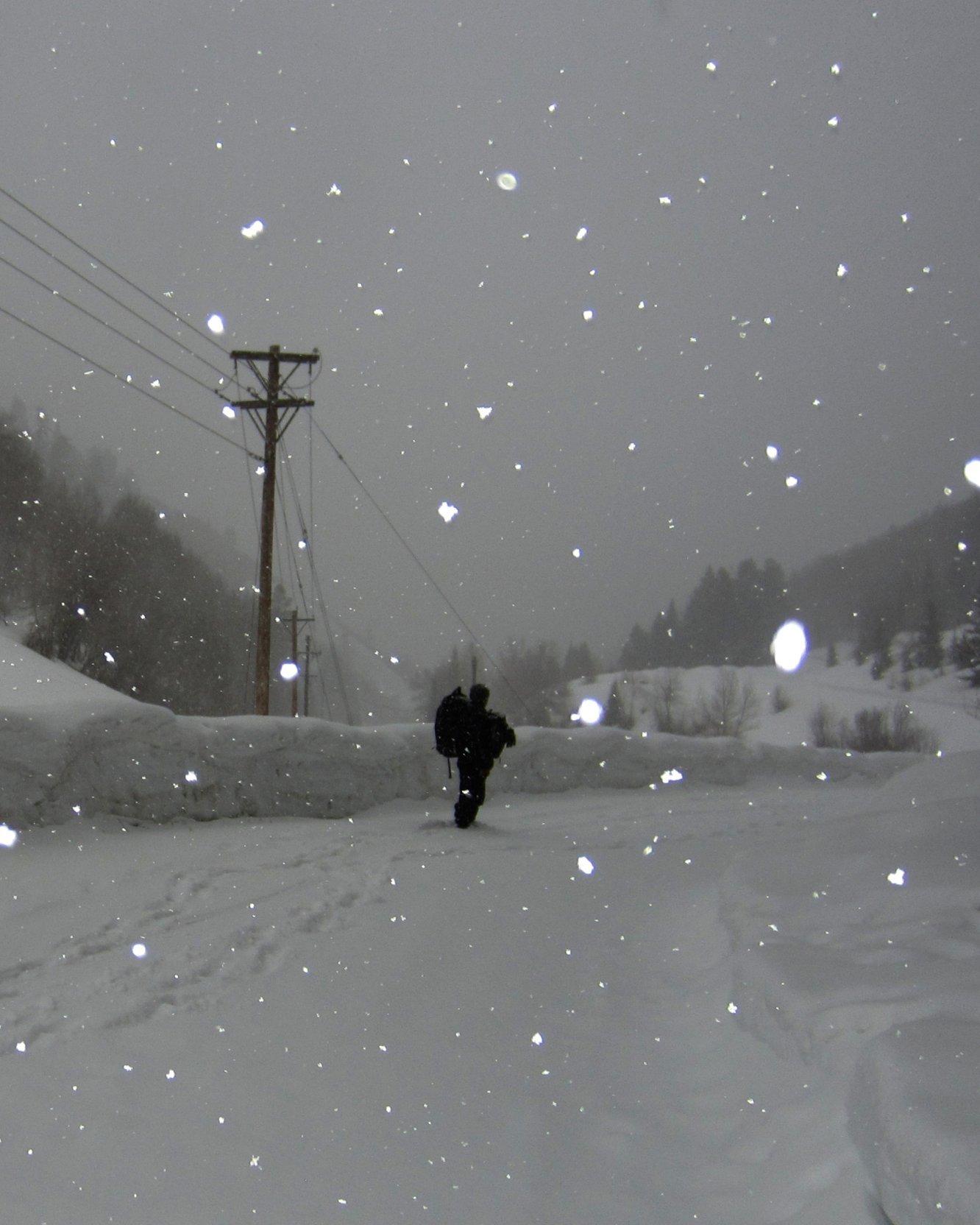 Skinning at dusk in snow flurries in a snow forest.