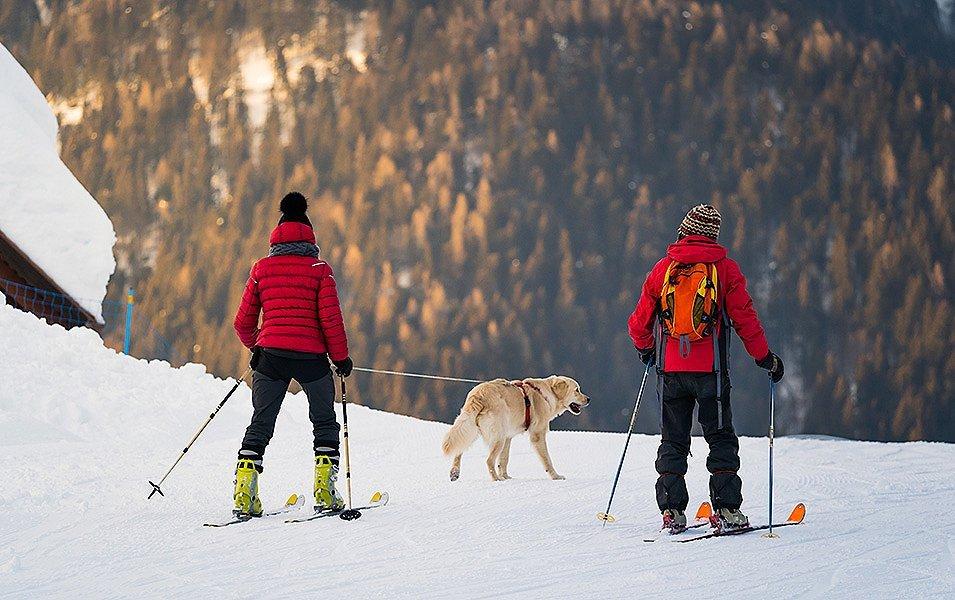 Two people on skis cross a snow-covered slope. One person is being towed by a dog