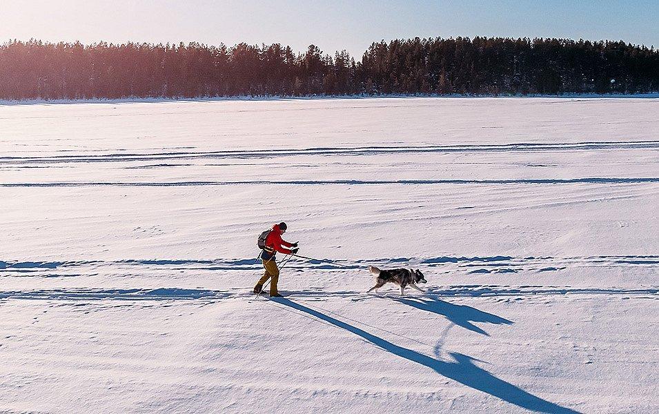 Person on skis is pulled by dog through snowy field.