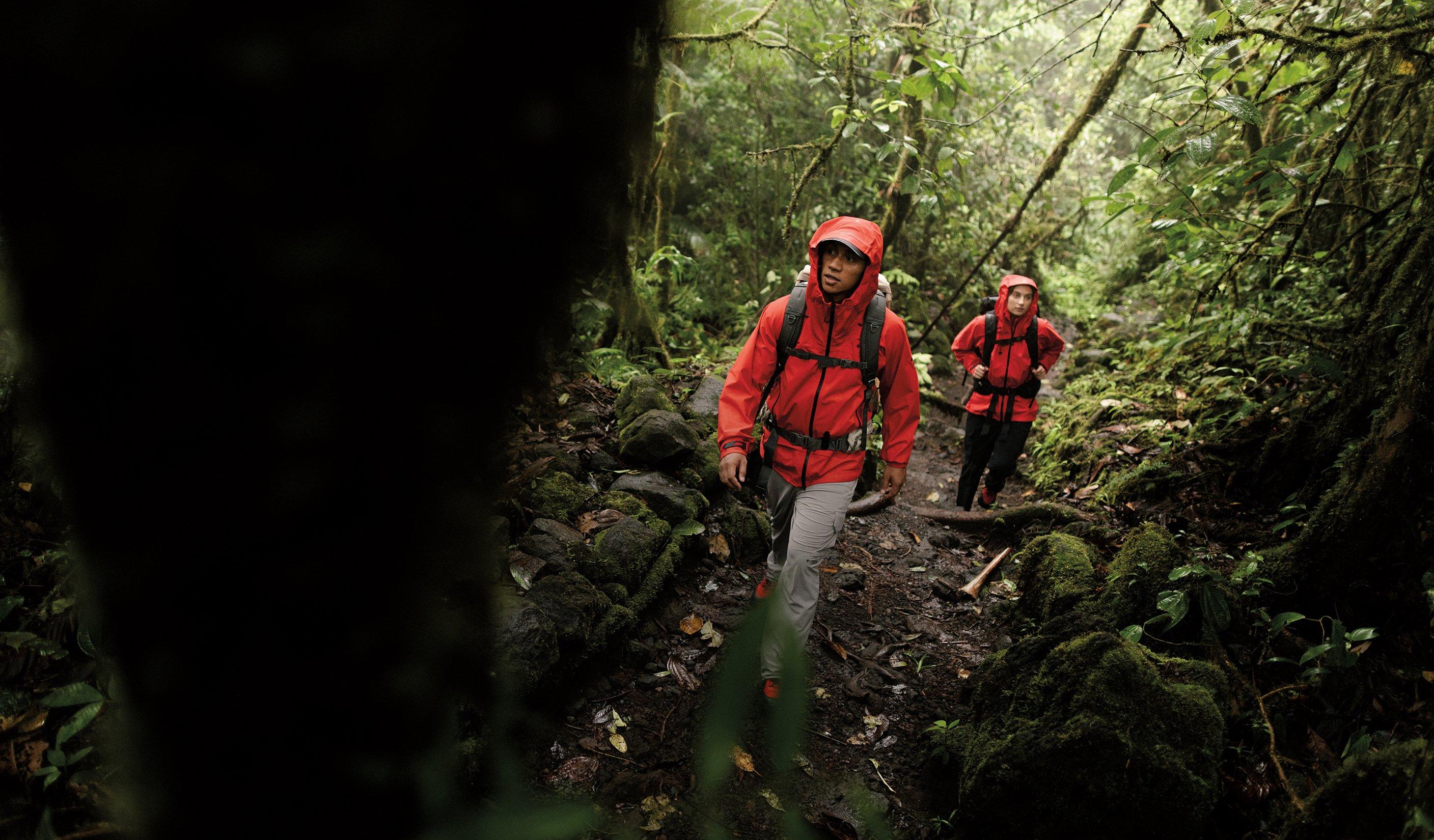 Two hikers walking through the jungle. 