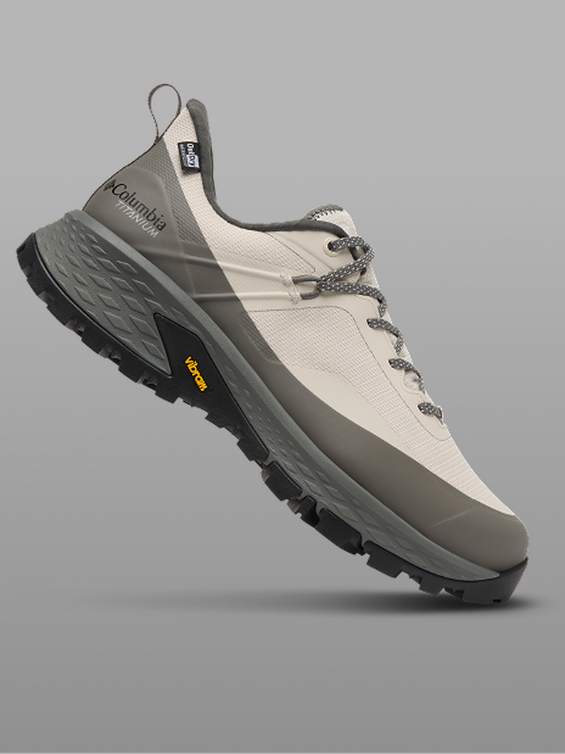 A white and grey shoe.