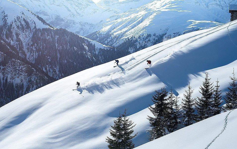 Three skiers navigate through an untracked glade deep in the backcountry.