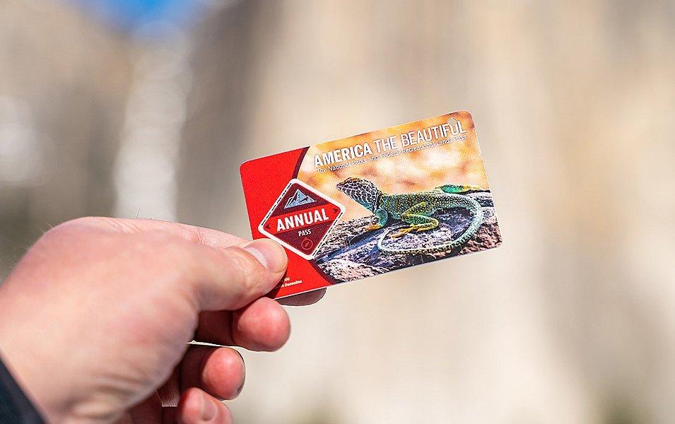 A hand holding up an America The Beautiful National Parks pass. 