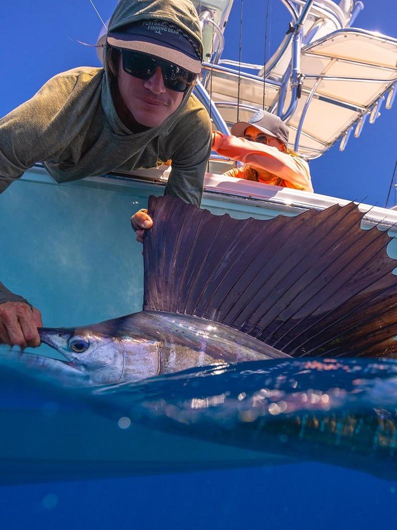 Angler on boat holding large sailfish in water for catch and release photo.