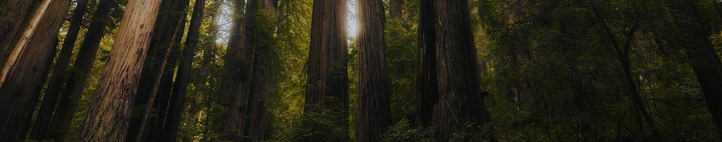 Columbia star Wars - Header banner