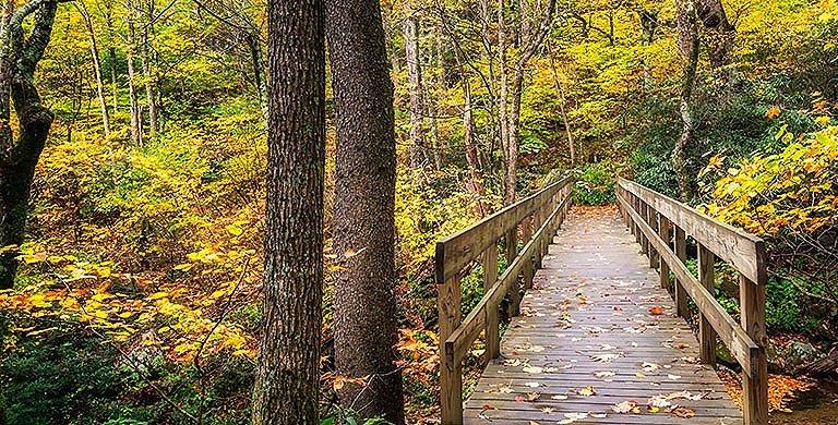 As the foliage starts to drop, hiking trails morph into magical wonderlands. Here are 6 facts about the science behind the changing of the leaves.