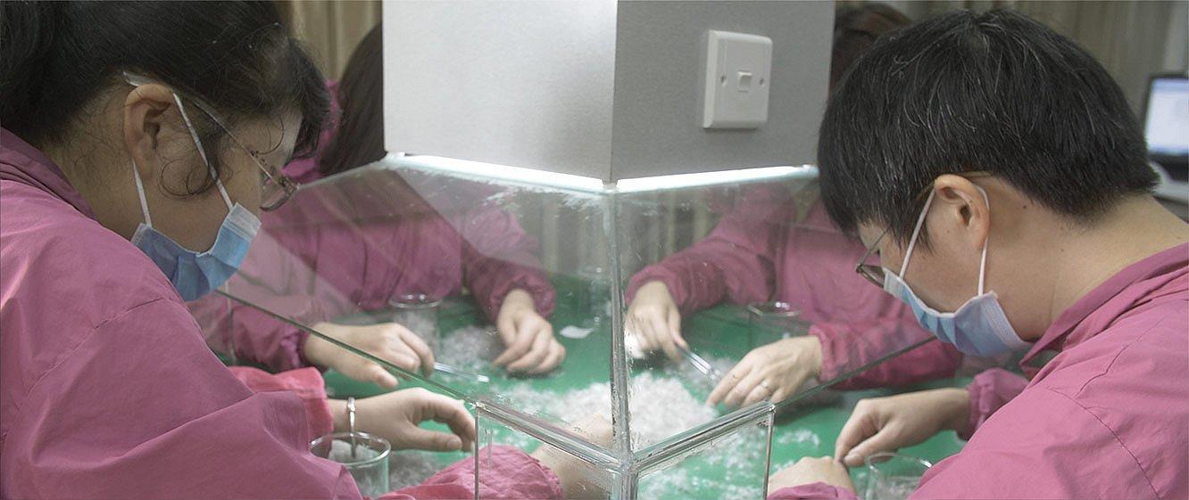 Workers carefully sorting down. 