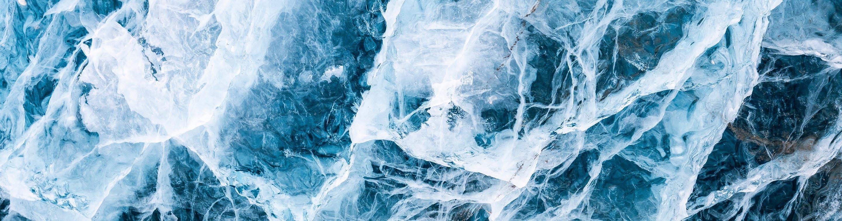 Glacier photo featuring a polar bear