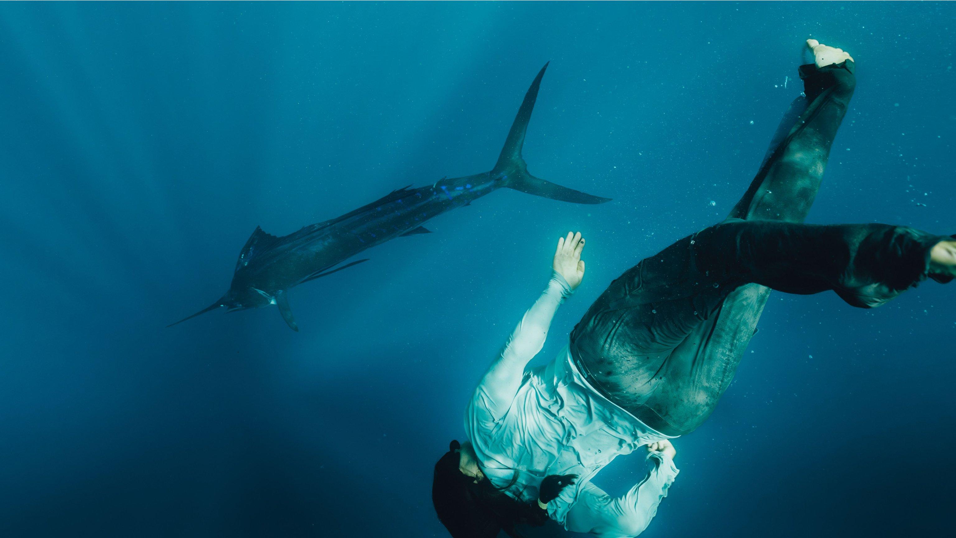 Person swimming underwater with a big fish.